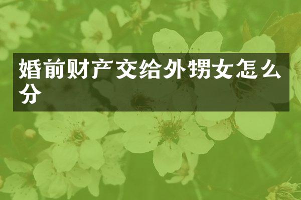 婚前财产交给外甥女怎么分