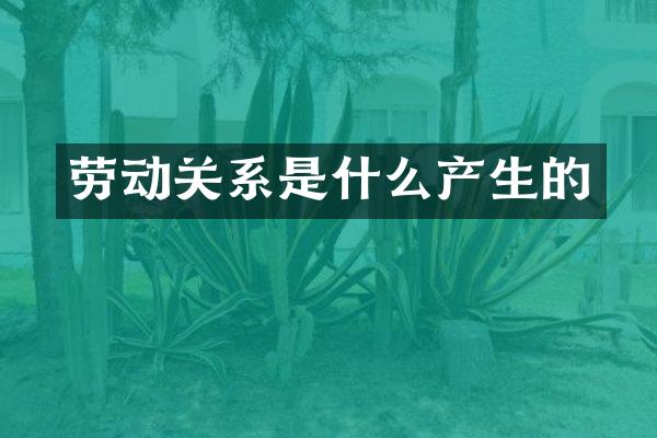 劳动关系是什么产生的
