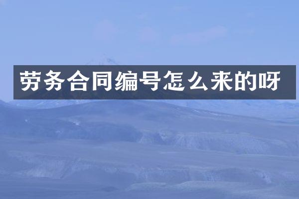劳务合同编号怎么来的呀