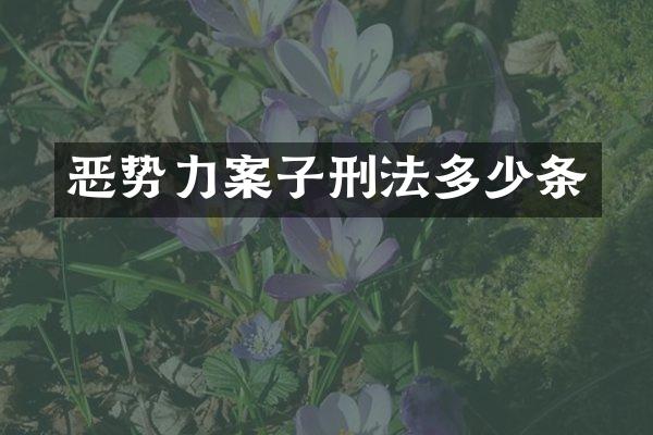 恶势力案子刑法多少条