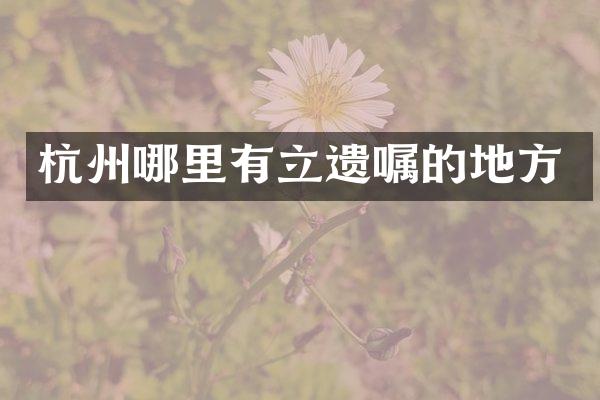 杭州哪里有立遗嘱的地方
