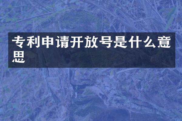 专利申请开放号是什么意思