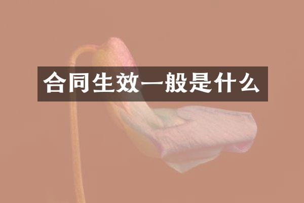 合同生效一般是什么