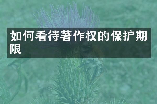 如何看待著作权的保护期限