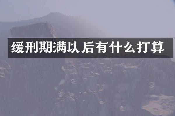 缓刑期满以后有什么打算