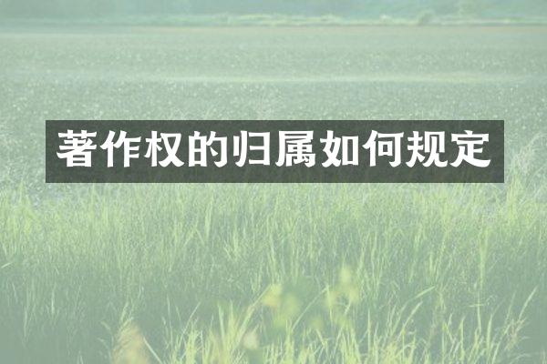著作权的归属如何规定