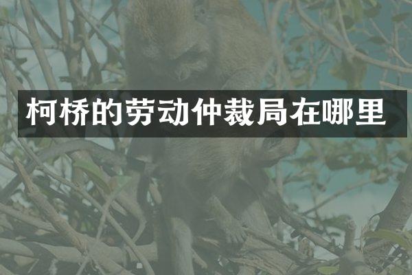 柯桥的劳动仲裁局在哪里