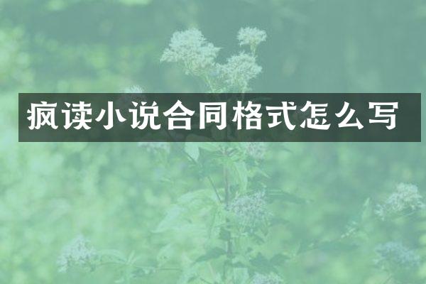 疯读小说合同格式怎么写