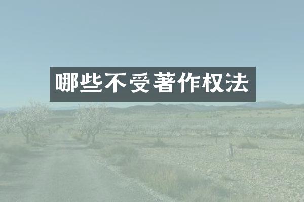 哪些不受著作权法