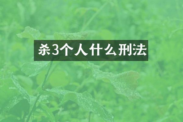 杀3个人什么刑法