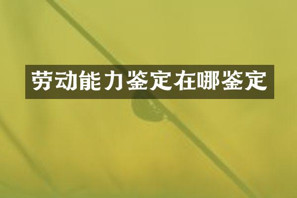劳动能力鉴定在哪鉴定