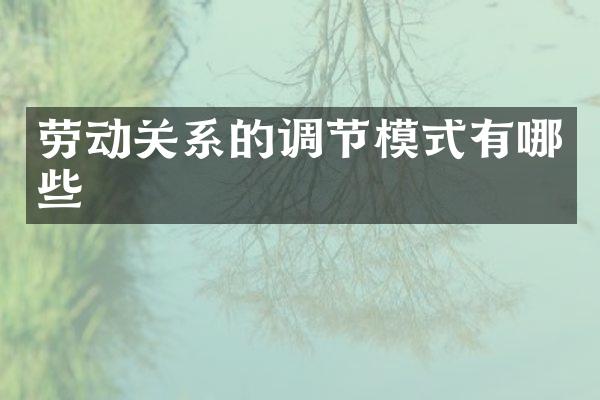 劳动关系的调节模式有哪些