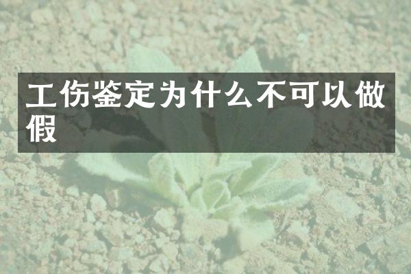 工伤鉴定为什么不可以做假