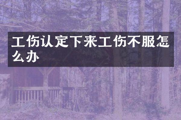 工伤认定下来工伤不服怎么办