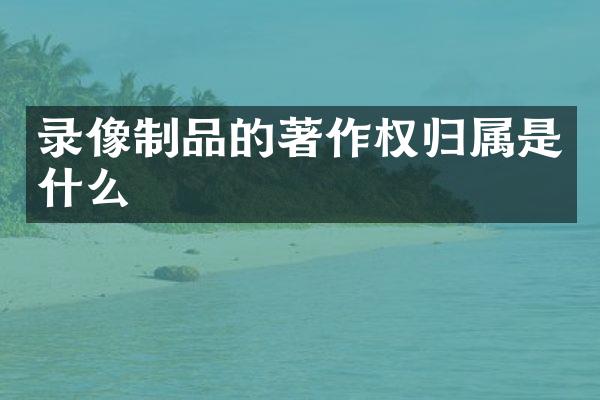 录像制品的著作权归属是什么