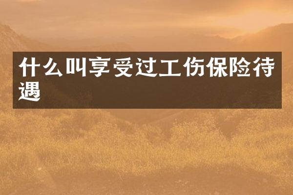 什么叫享受过工伤保险待遇