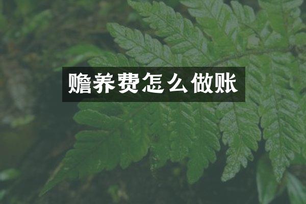 赡养费怎么做账