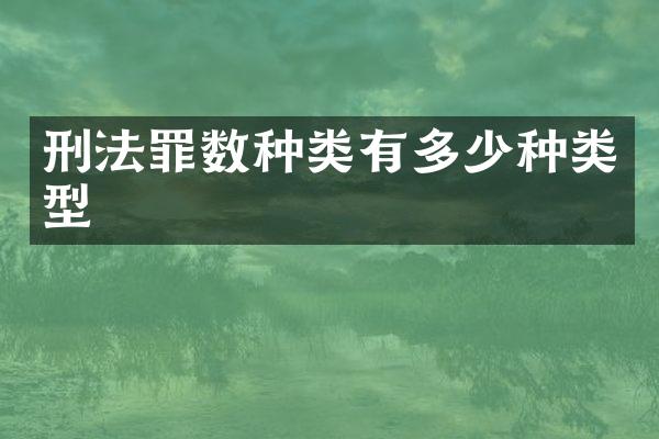刑法罪数种类有多少种类型