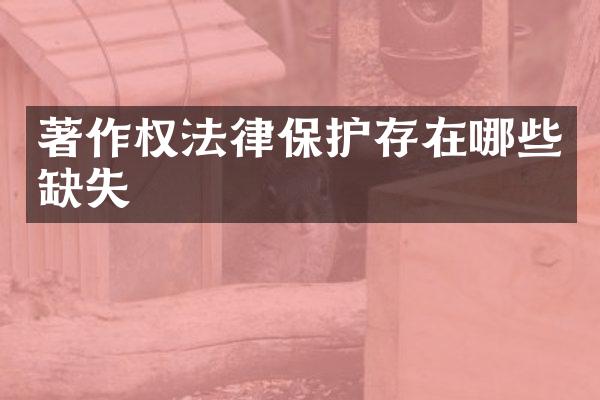 著作权法律保护存在哪些缺失