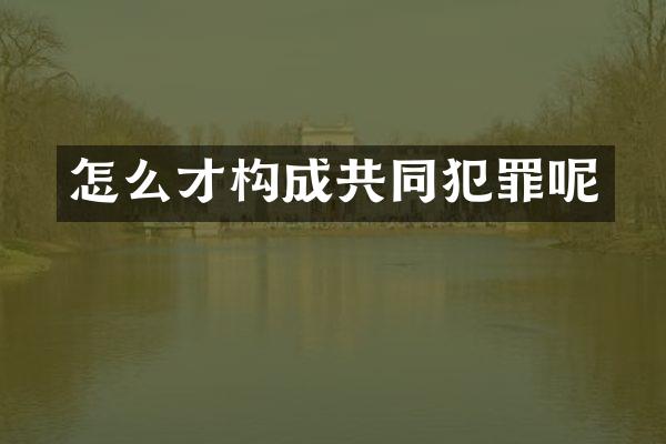 怎么才构成共同犯罪呢