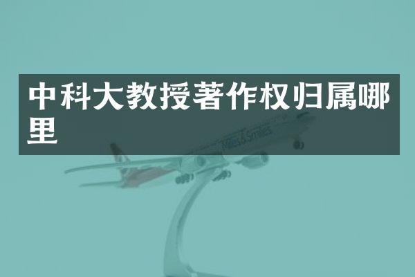 中科大教授著作权归属哪里