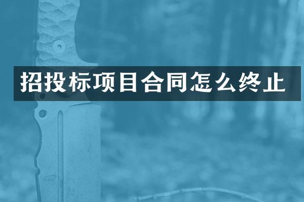 招投标项目合同怎么终止