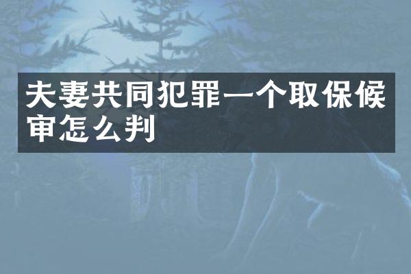 夫妻共同犯罪一个取保候审怎么判