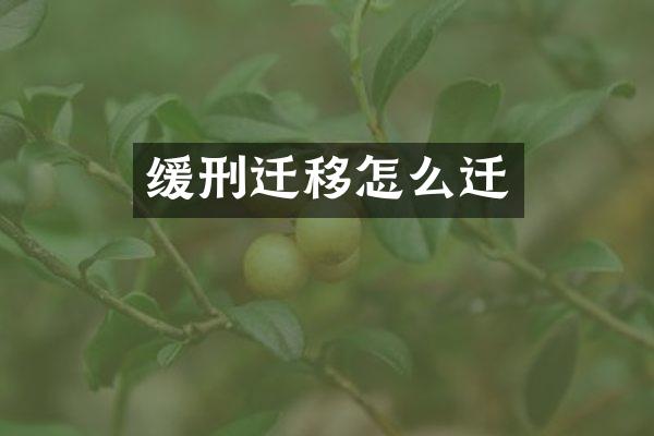 缓刑迁移怎么迁