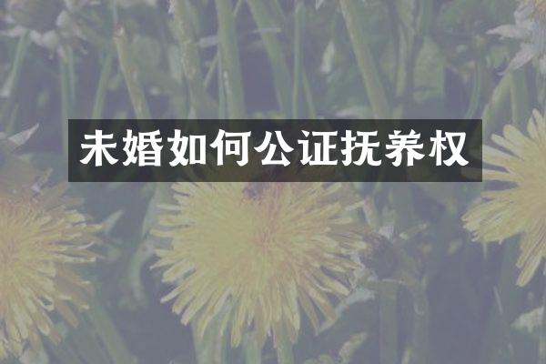 未婚如何公证抚养权