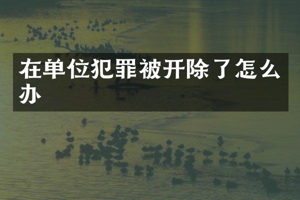 在单位犯罪被开除了怎么办