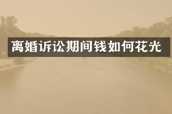 离婚诉讼期间钱如何花光