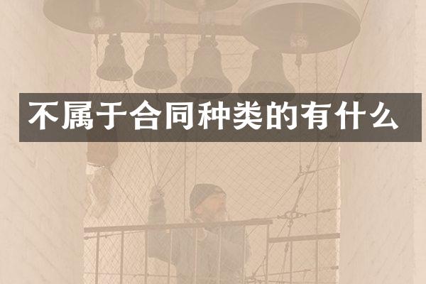 不属于合同种类的有什么