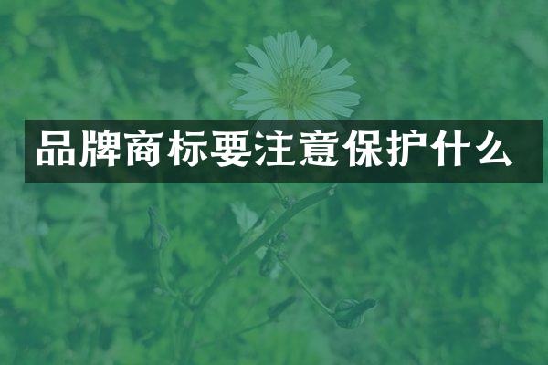品牌商标要注意保护什么