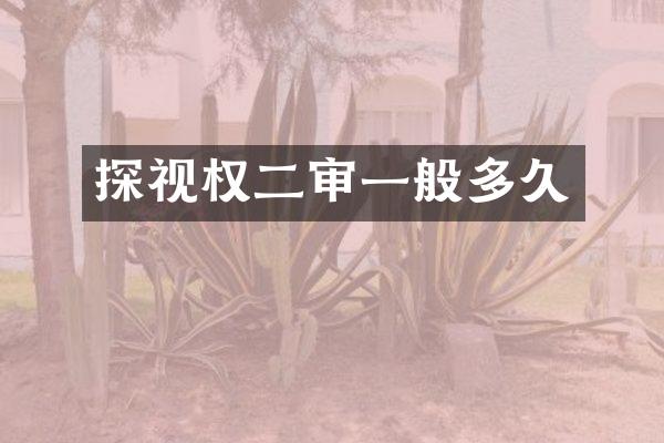 探视权二审一般多久