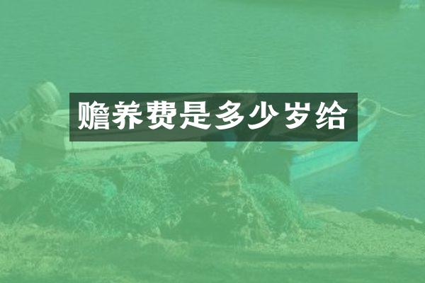 赡养费是多少岁给