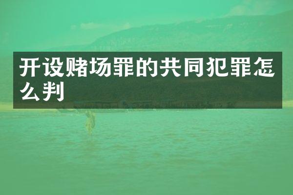 开设罪的共同犯罪怎么判