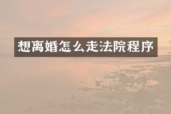 想离婚怎么走法院程序