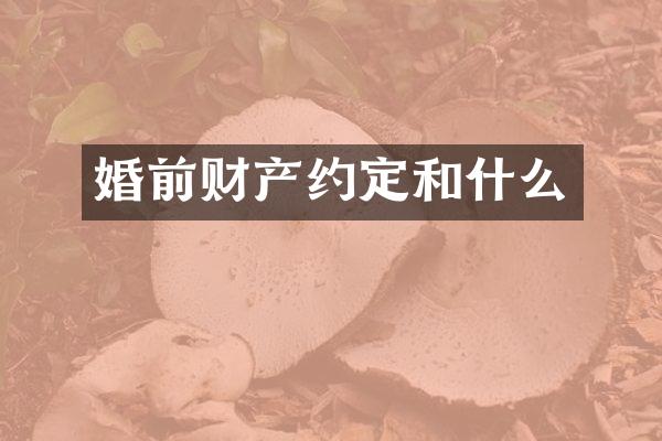 婚前财产约定和什么