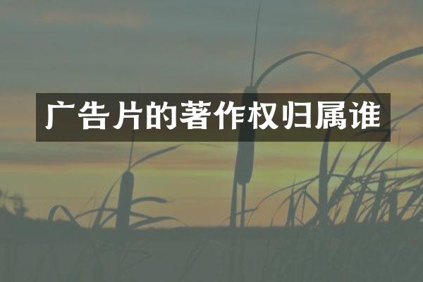 广告片的著作权归属谁