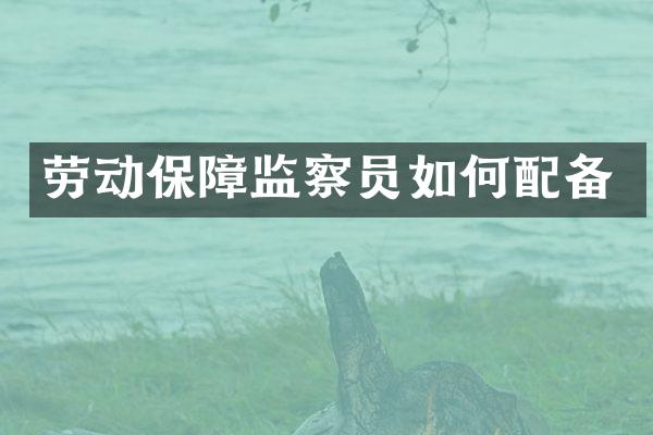 劳动保障监察员如何配备