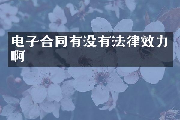 电子合同有没有法律效力啊
