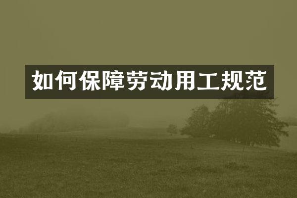 如何保障劳动用工规范