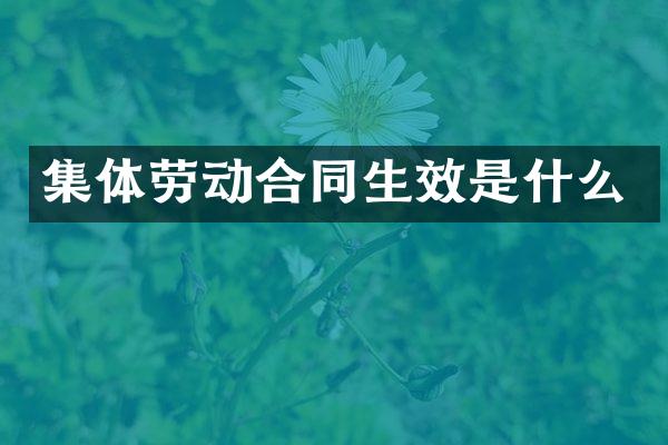 集体劳动合同生效是什么