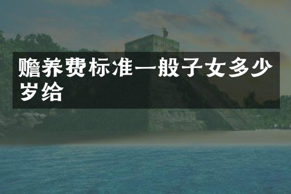 赡养费标准一般子女给