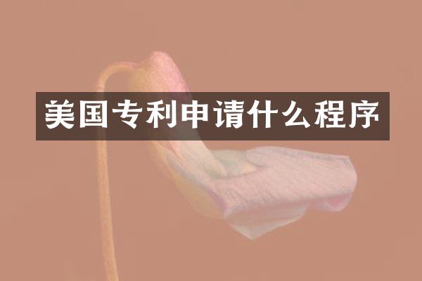 美国专利申请什么程序