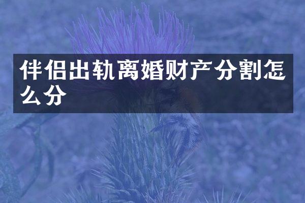 伴侣出轨离婚财产分割怎么分