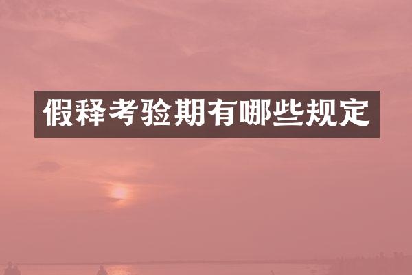 假释考验期有哪些规定