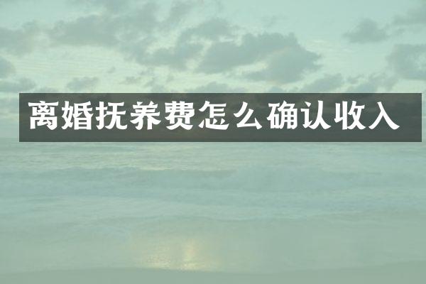 离婚抚养费怎么确认收入