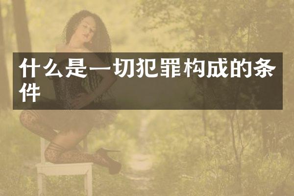 什么是一切犯罪构成的条件