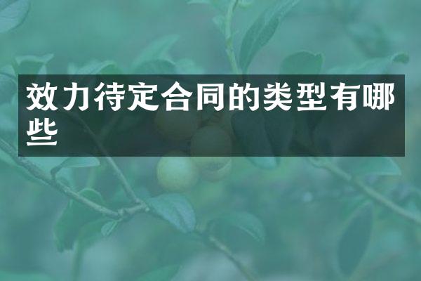 效力待定合同的类型有哪些